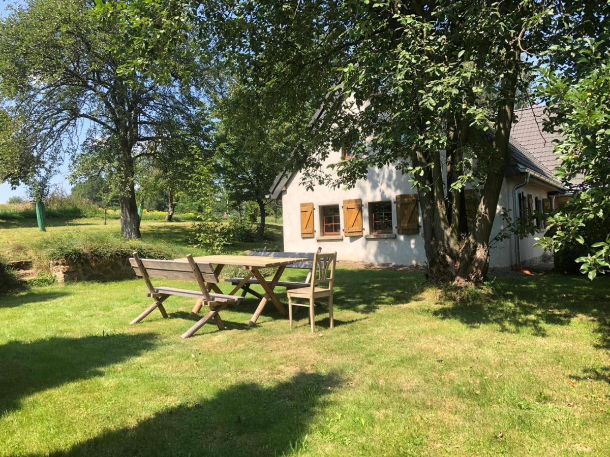 Klimatyczny Dom Kopaczowka Przytulna Miejscowka Z Kominkiem, Sauna I Ogrodem U Podnoza Gor Stolowych Радкув Экстерьер фото