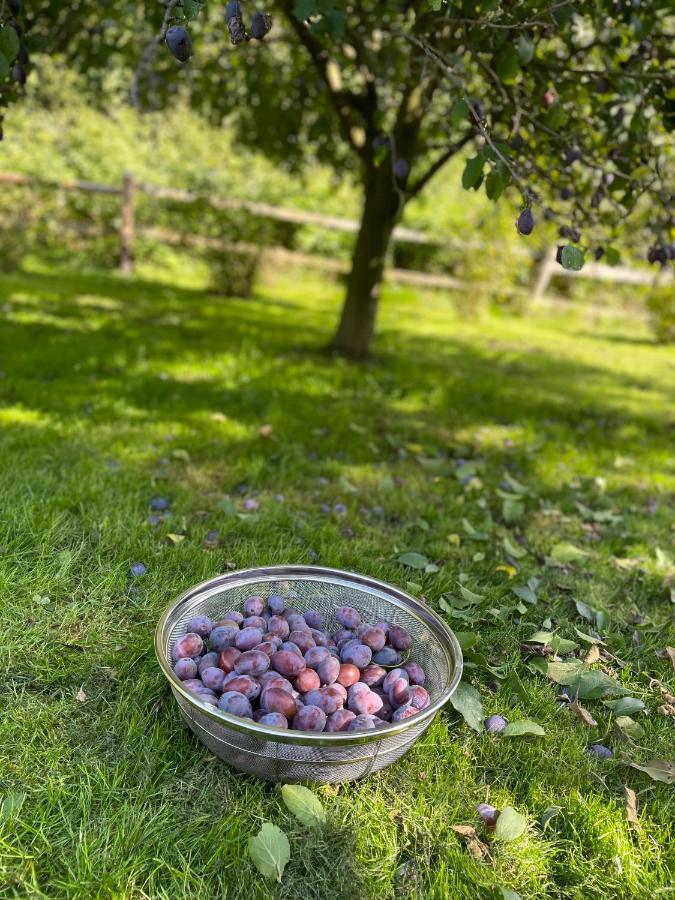 Klimatyczny Dom Kopaczowka Przytulna Miejscowka Z Kominkiem, Sauna I Ogrodem U Podnoza Gor Stolowych Радкув Экстерьер фото